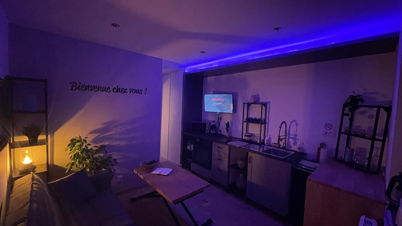 Bienvenue Chez Vous "Appartement Classe 2 Etoiles En Rdc Avec Espace Exterieur Et Parking" Dole Eksteriør billede